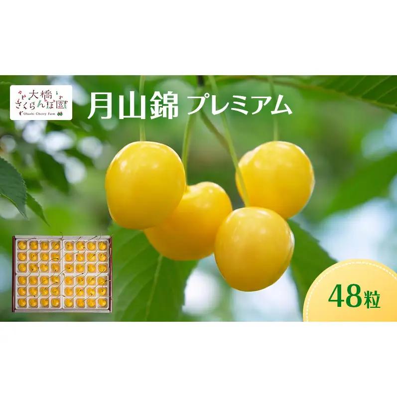 【先行予約】さくらんぼ 月山錦 プレミアム 48粒 最高級 特大粒 さくらんぼ