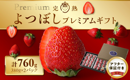 池田農園の完熟よつぼしプレミアムギフト (380g×2パック)　計760g_Fi111