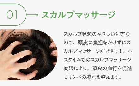 デミ シャンプー ビオーブ リフレッシュスキャルプシャンプー 450mL DEMI 【福井市】［A-193004］/ ケア 髪 髪質 補修成分 ヘアケア デミ DEMI スカルプ スカルプケア 頭皮 