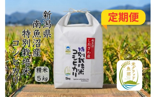 
                  【令和8年産 新米】【定期便】安心安全の新潟県南魚沼産特別栽培米コシヒカリ　5kg×６か月　新潟県認証
                