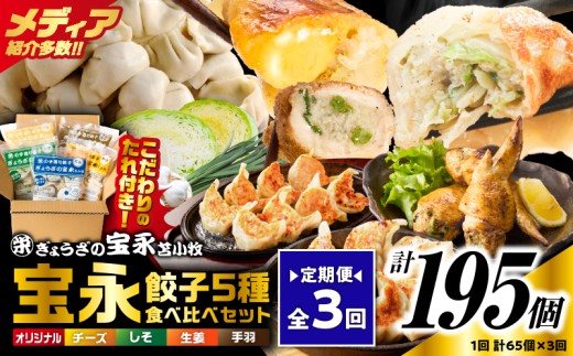 【定期便・全3回 毎月】手包み餃子 ぎょうざの宝永 5種食べ比べセット（65個入）　T004-T07-02