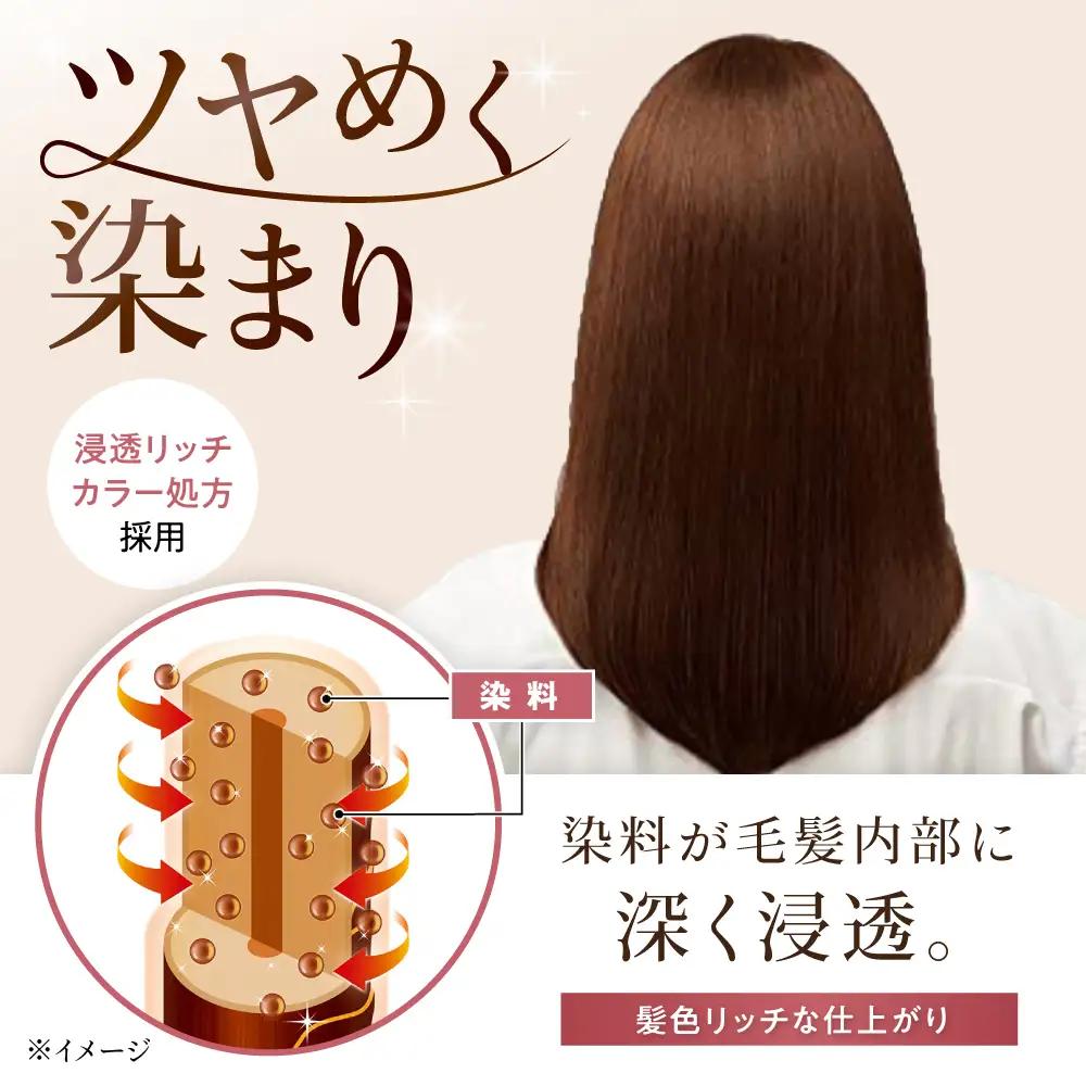 シエロ ヘアカラークリーム ピュアブラウン 3個 / CIELO 白髪染め セルフカラー ヘアカラー / 瀬戸市 / ホーユー株式会社 [BBEL004]