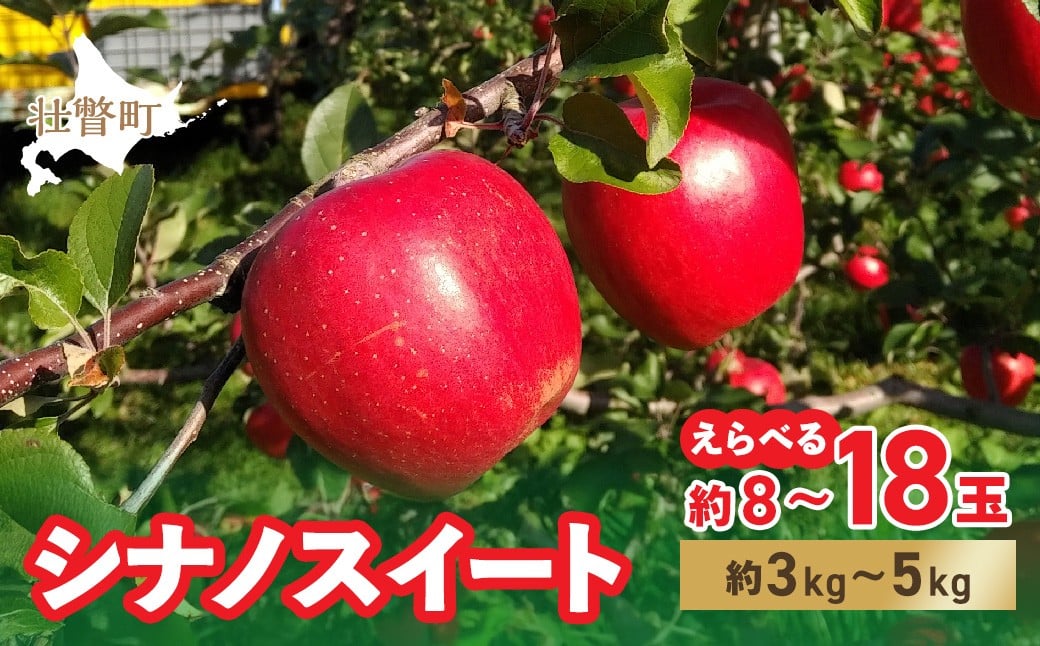 
            ＜2025年10月下旬よりお届け＞ 北海道壮瞥町 りんご 「シナノスイート」 選べる容量 8～18玉 約3kg～5kg 【 ふるさと納税 人気 おすすめ ランキング りんご リンゴ 林檎 シナノスイート 甘い ジューシー 北海道 壮瞥町 送料無料 】 SBTF003
          