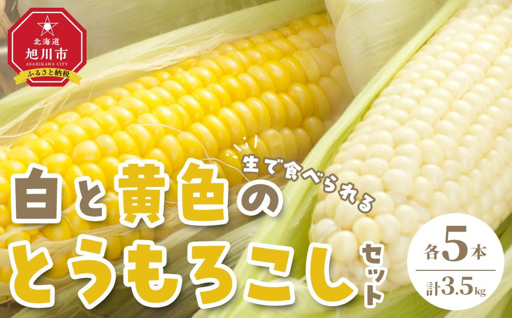 
            【先行予約】【旭川近郊産】白と黄色のとうもろこしセット　各5本（計3.5kg）(2025年8月上旬発送開始予定)【 白いとうもろこし 人気 北海道産 糖度 生 野菜 スイートコーン 産地直送 バーベキュー BBQ コーン 旬 お取り寄せ 旭川市 北海道 】_00094
          
