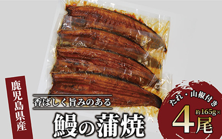 鹿児島県産 鰻の蒲焼(無頭背開き)約165g×4尾(山中水産/033-1066) うなぎ 国産 うなぎ 鹿児島 うなぎ 蒲焼 うなぎ 丑の日 丑 土用丑の日 