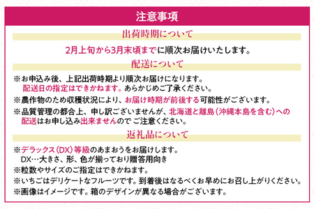 福岡産【春】あまおうDX（デラックス）4パック いちご 苺 果物 フルーツ 九州産 福岡県産 冷蔵 送料無料 【2月上旬発送開始予定】 イチゴ フルーツ 果物 くだもの ブランド 国産 甘味 果汁