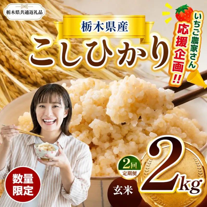 【先行予約】【定期２回】【令和8年度産】 栃木県産コシヒカリ 2kg 