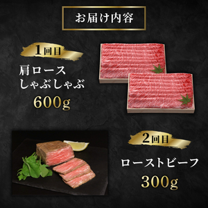 近江牛 6ヶ月定期便 本丸コース 【近江牛定期便】