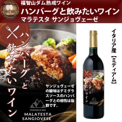 ふるさと納税 直方市 福智山ダム熟成 ハンバーグと飲みたい赤ワイン FD335