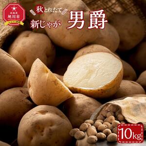 【先行予約】秋とれたて 新じゃが 男爵いも 10kg（2026年10月発送開始予定）【 じゃがいも いも イモ 芋 野菜 産地直送 旬 お取り寄せ 旭川市 北海道 】 _04858
