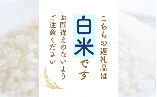 令和7年産 あきさかり 10kg 福井県産 コシヒカリ系統品種【白米】【お米 アキサカリ 10キロ】 [e30-b019]