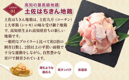 ぶしゅかんグリーンカレー３食セット _ag014