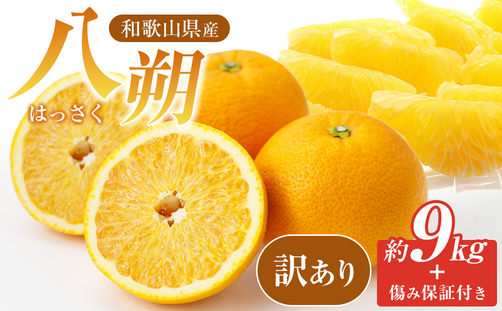 訳あり八朔  約10kg（箱込み） 和歌山県産