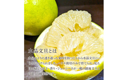 土佐市産 水晶文旦 約5kg (7～8玉） 高知県土佐市 【土佐労働者協同組合】 [BQBU004]