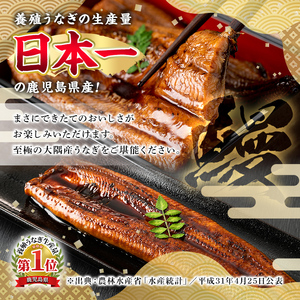 【0064323a】＜数量限定・宅配袋発送＞東串良町のうなぎ蒲焼(無頭)(1尾・約150g・タレ、山椒付) うなぎ 高級 ウナギ 鰻 国産 蒲焼 蒲焼き たれ 鹿児島 ふるさと お試し 【アクアおおす