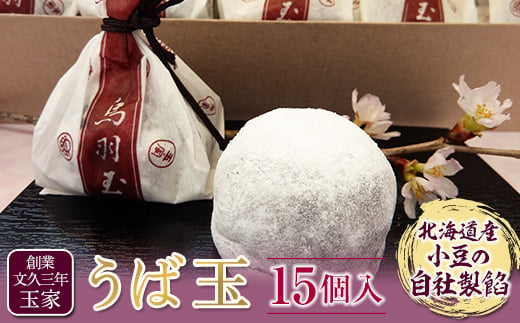 創業文久三年 玉家 うば玉15個入  お茶菓子 お茶請け 和菓子 菓子 食品 F21R-009