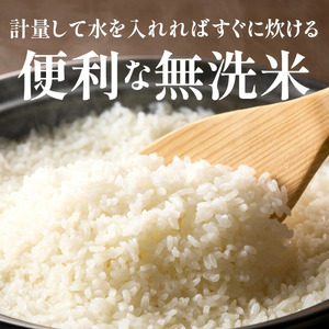 便利なチャック付き! 国東産ひとめぼれ 令和7年産 無洗米 10kg(5kg×2袋)_2521R-2