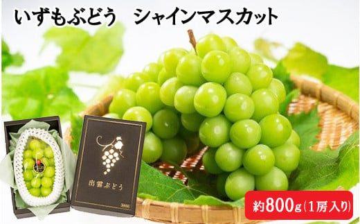 ★先行予約 2024年 令和6年発送★いずもぶどう　シャインマスカット(800ｇ見当)【2-039】