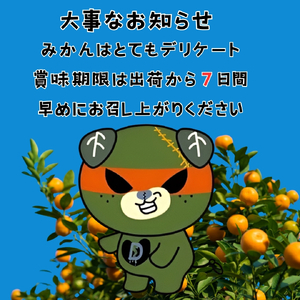 【先行予約】 愛果28号 お試し3個入りセット 【DCR016】