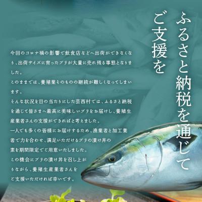 ふるさと納税 芸西村 高知の海鮮丼の素「ブリの漬け」1食80g×10Pセット 【コロナ応援企画】 |  | 02