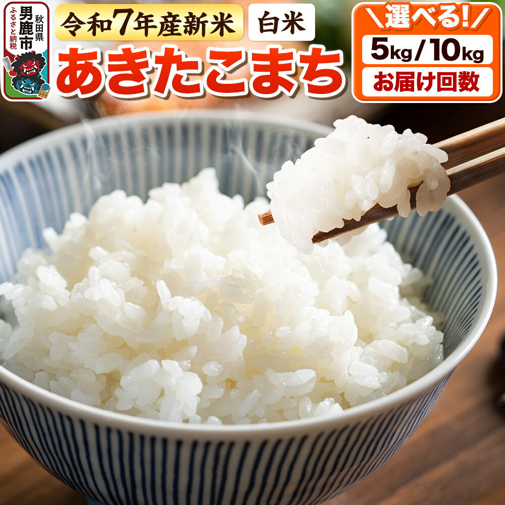 【ふるさと納税】＜令和7年産 新米＞【白米】あきたこまち 5kg／10kg【選べる容量・お届け回数（1回〜定期便）】