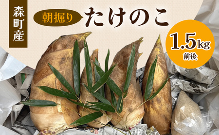 【2027年3月下旬より順次発送】森町産朝掘りたけのこ1.5kg前後 たけのこ 筍 タケノコ 春の味覚 こだわり 朝堀り 当日出荷 かぐや姫 甘い 静岡県 森町