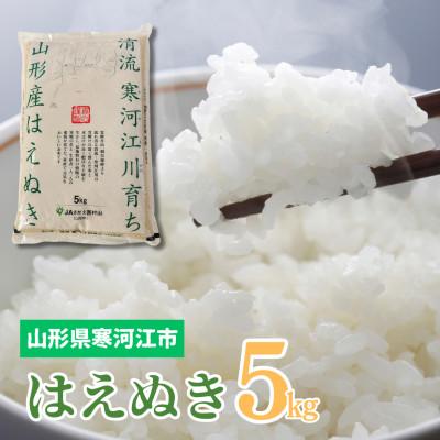 ふるさと納税 寒河江市 【令和7年産】清流寒河江川育ち 山形産はえぬき　5kg×1袋