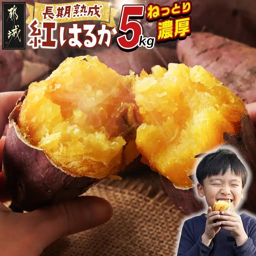 都城産 長期熟成紅はるか 5kg〔I2-001-5kg〕_(都城市) 都城産さつまいも 熟成紅はるか 5kg 長期熟成 スイーツ
