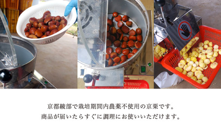 《11月発送》京栗 生むき栗 冷凍 500g（250g×2袋） 栗 栗 栗