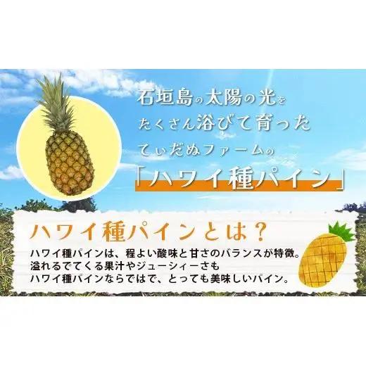 ＜先行予約＞ 石垣島産 ハワイ種パイン 2～3玉 約3kg 