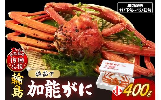 【先行予約】浜茹で 加能ガニ(雄ズワイガニ)【小】(2026年11月下旬～12月初旬発送) wa001-020-11 蟹 加能ガニ 加能 雄 オス おす ズワイガニ ずわいがに かに 蟹みそ ゆで 茹で ボイル 海鮮 魚介 海産物 能登 輪島 石川県