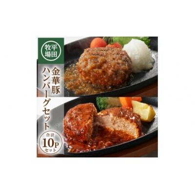 ふるさと納税 酒田市 【平田牧場】日本の米育ち◆金華豚 ハンバーグ2種セット　計10個(和風おろし、デミグラス 各5個)