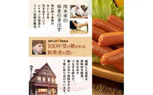 【函館カール・レイモン ミニサラミ10個セット】函館 カールレイモン ミニサラミ 30g 10個セット サラミ さらみ ギフト ソーセージ チョリソー 個包装 国産 北海道 ポーク あらびき 粗挽き 