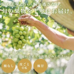 フルーツ王国山梨産厳選 シャインマスカット 1房(約500-600g)YAMANASHI PRIDE【配送不可地域：離島】【1501766】