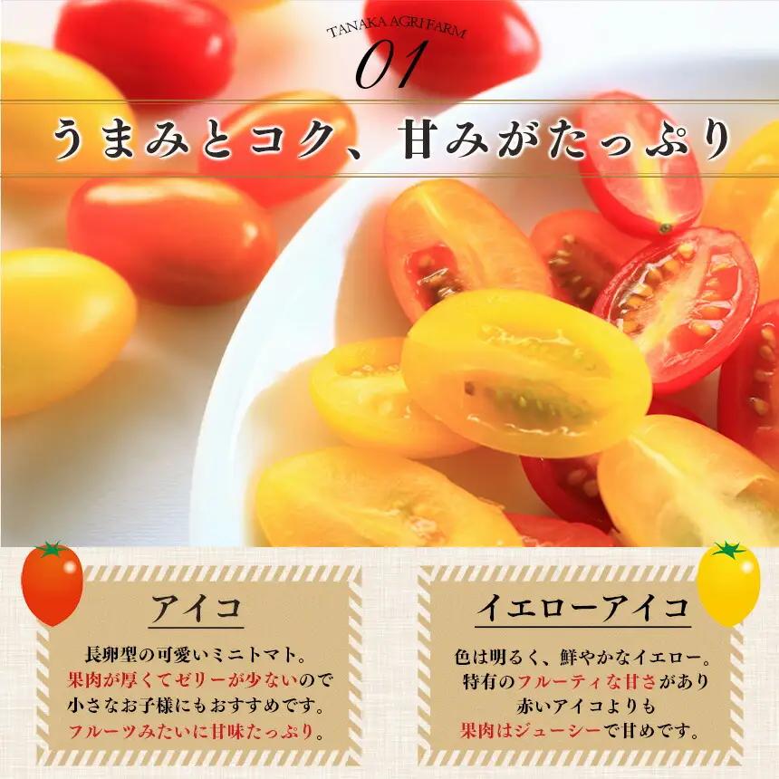ミニトマト 約400gx4約 計1.6kg ｜ヤサイ 野菜 やさい トマト とまと ミニトマト 奈良県 五條市