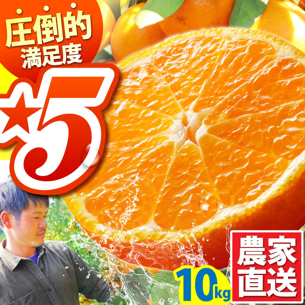 【ふるさと納税】【2025年10月下旬〜発送】温州みかん 10kg / みかん ミカン 蜜柑 甘い フルーツ 果物 / 南島原市 / 蜜柑屋まつお [SCQ002]