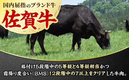 【6回定期便】佐賀牛 希少部位食べ比べ ヒレ イチボ ランプ 総計5.4kg/吉野ヶ里町/NICK’S MEAT[FCY033]