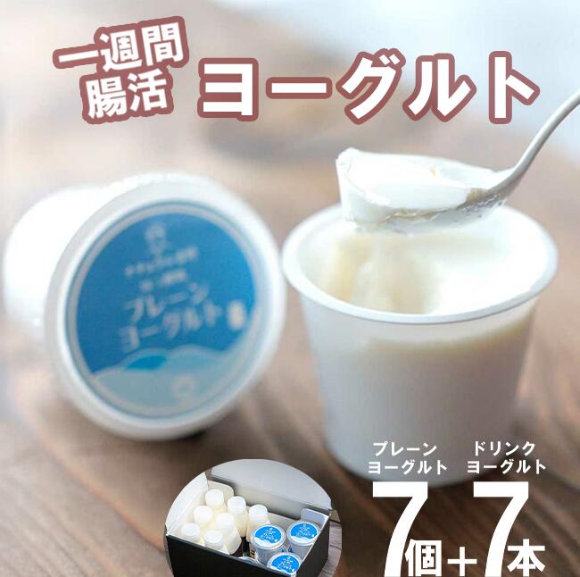【ふるさと納税】【筑波ハム】一週間腸活ヨーグルトギフトセット | 筑波ハム ヨーグルト ドリンクヨーグルト 乳 腸活 美容 健康 ギフト 贈答 茨城県産 国産 つくば市