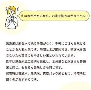 【無洗米】丹波産キヌヒカリ 10kg 真空パック 無洗
