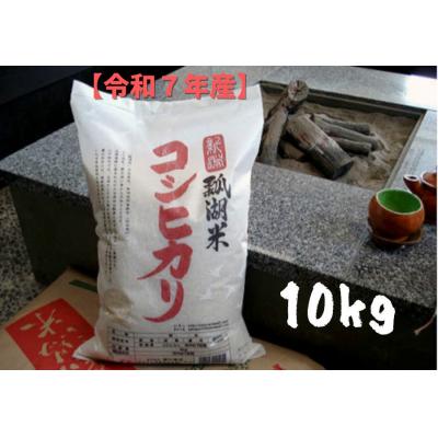 ふるさと納税 阿賀野市 【令和7年産】新潟産 コシヒカリ 瓢湖米 10kg 新潟県 阿賀野市