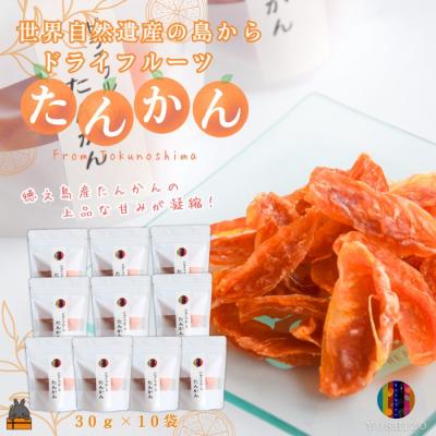 ふるさと納税 徳之島町 〜柑橘の爽やかな甘み凝縮!〜徳之島産ドライフルーツたんかん(10袋)