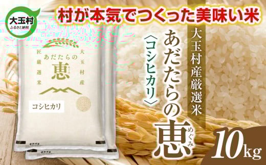 米 大玉村産厳選米「あだたらの恵」（品種：コシヒカリ） 10kg 《 令和7年産  》｜ 福島 大玉村 お米 米作り こしひかり 令和7年 精米 白米 こめ コメ ご飯 送料無料 大玉村農業振興公社 ｜ on-ak-10kg-r7