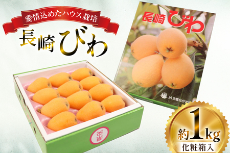 びわ 長崎 ハウスびわ 1kg 化粧箱入 【2027年3月順次発送】
