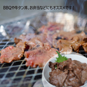 【 訳あり 】牛タン 薄切り 500g ( 250g パック ) タン塩 切り落とし 味付き 味付 味付け肉 焼肉 冷凍 小分け 不揃い 肉 牛 牛肉 ビーフ キャンプ アウトドア バーベキュー BB