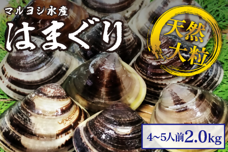 【指定日必須】マルヨシ水産　桑名産大粒天然蛤　2kg_はまぐり　ハマグリ　魚介　貝　魚貝　活はまぐり　焼きはま　海鮮　網焼き　酒蒸し　お吸い物　パエリア　パスタ