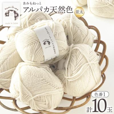 ふるさと納税 江南市 あみもねっと アルパカ天然色並太 1番色 10玉セット
