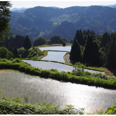 ふるさと納税 上越市 【毎月定期便】雪むろ棚田米コシヒカリ2kg(2kg×1袋)玄米-新潟県上越市安塚区産-全3回 |  | 02