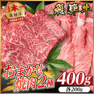 【ふるさと納税】飛騨牛　おまかせ焼肉2種セット約400g(各約200g) 訳あり　BBQ　上カルビ・ロースなど【配送不可地域：離島】【1738938】