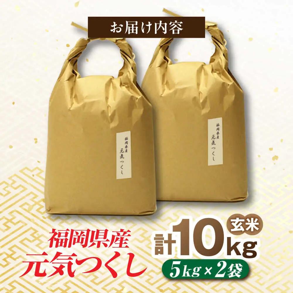 福岡県産 元気つくし 玄米 10kg (5kg×2袋)[BGAF020]元気つくし