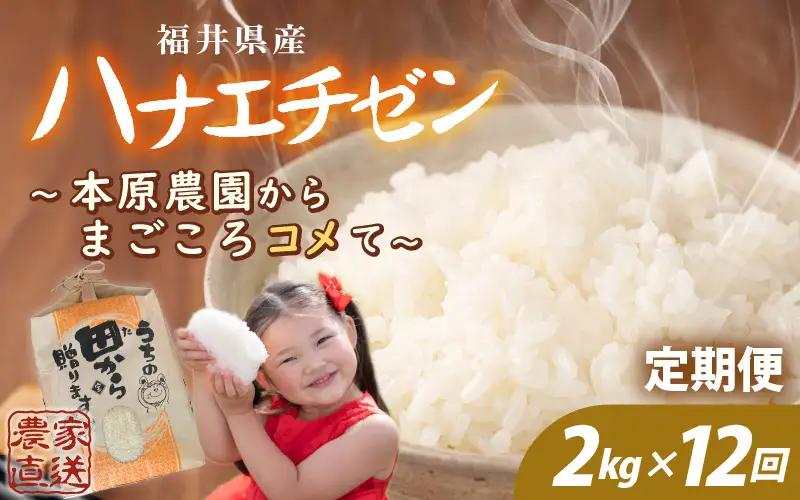 先行予約 定期便 12ヶ月連続お届け ハナエチゼン 2kg (1袋) × 12回 計24kg 白米 精米 ブランド米 2026年9月上旬以降順次発送予定 [E-8915]